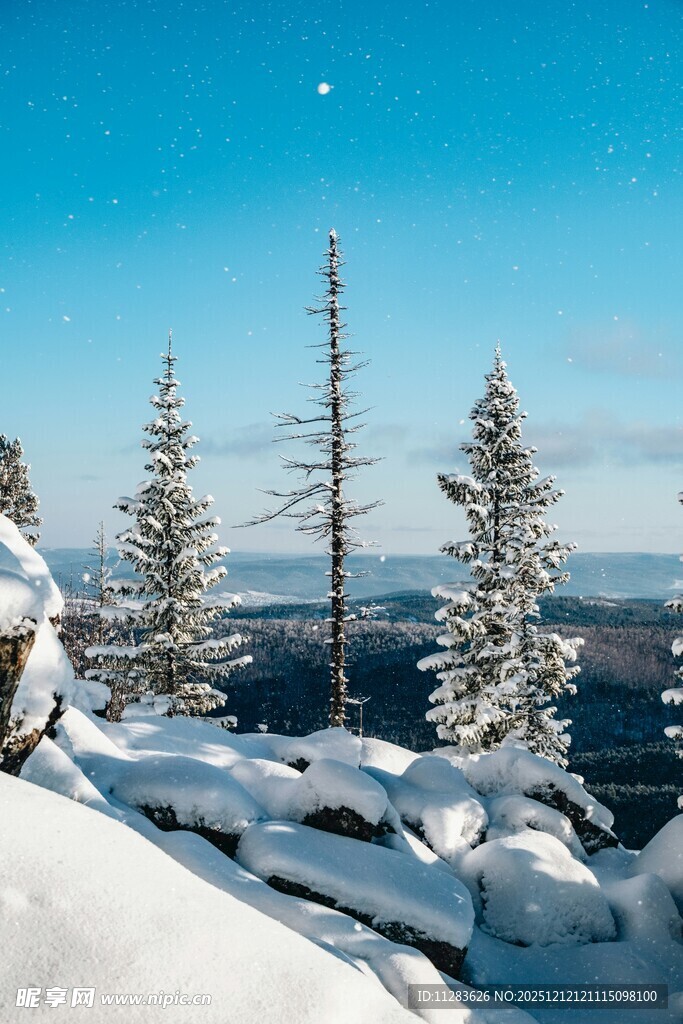 雪覆山林的冬日美景