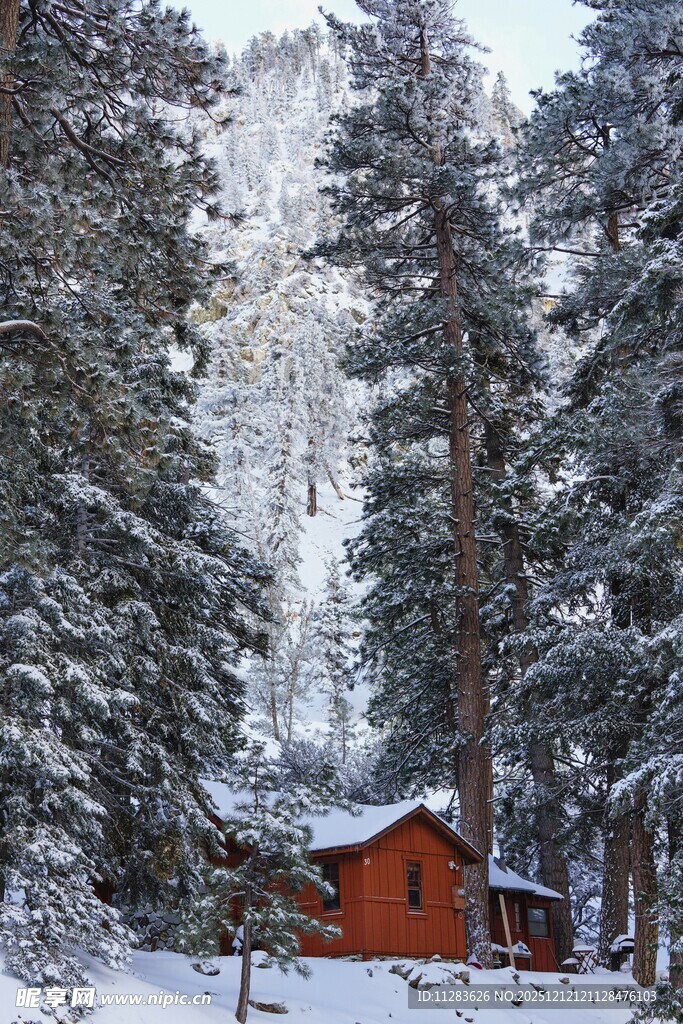 雪林中的红色小木屋