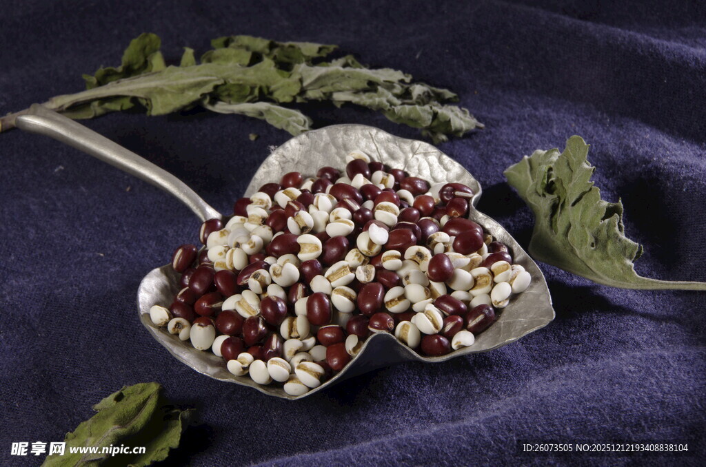 银勺中的赤小豆与薏仁