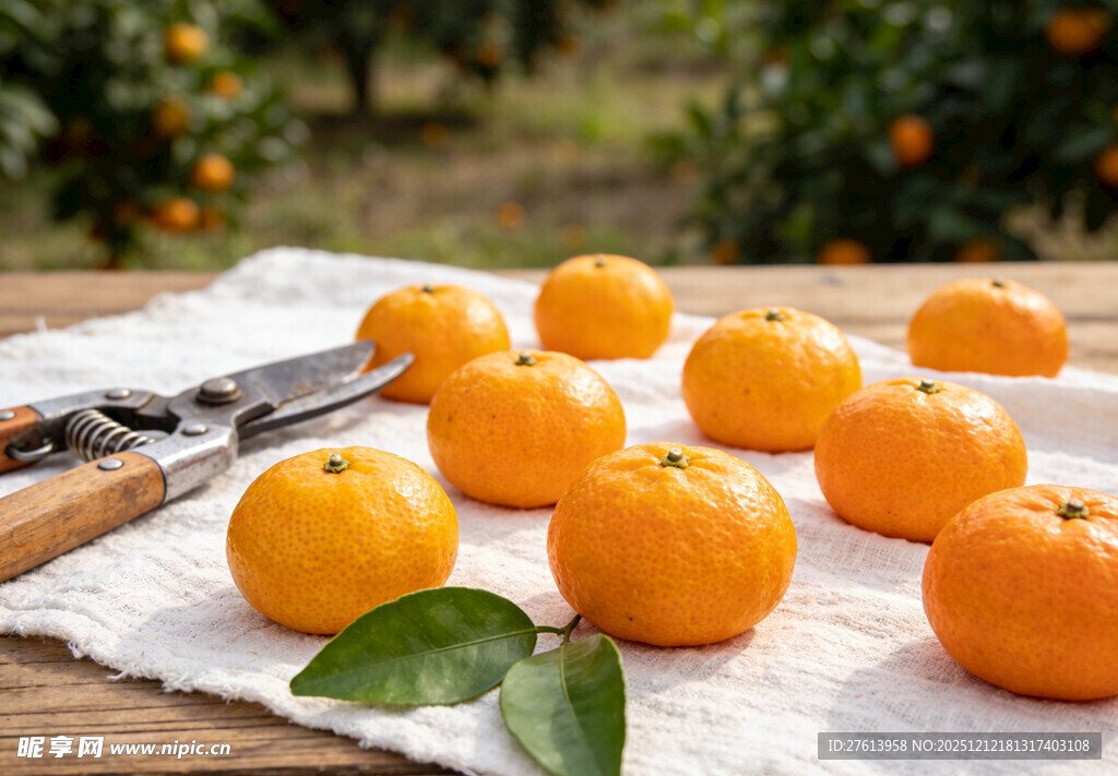 木桌上的橘子