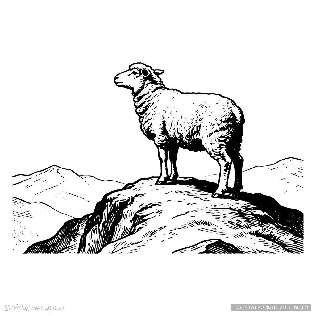 山顶上的羊