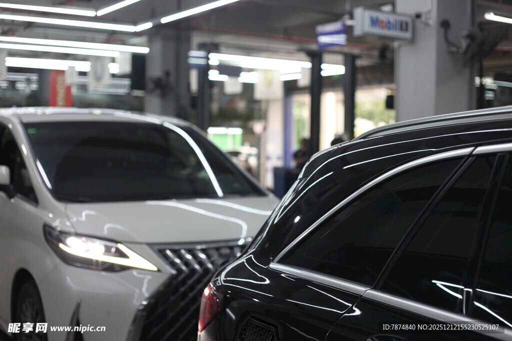 展厅中的两辆精致汽车