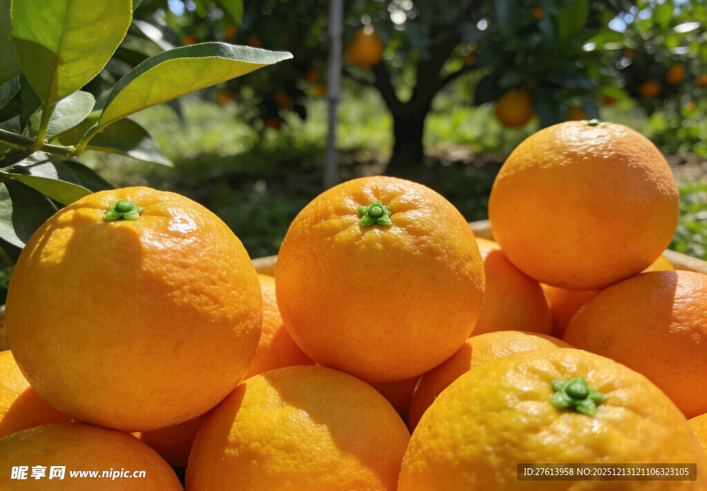 一堆新鲜的橙子