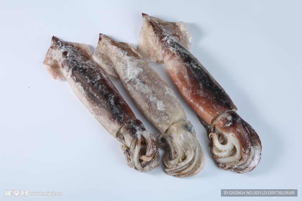 鱿鱼