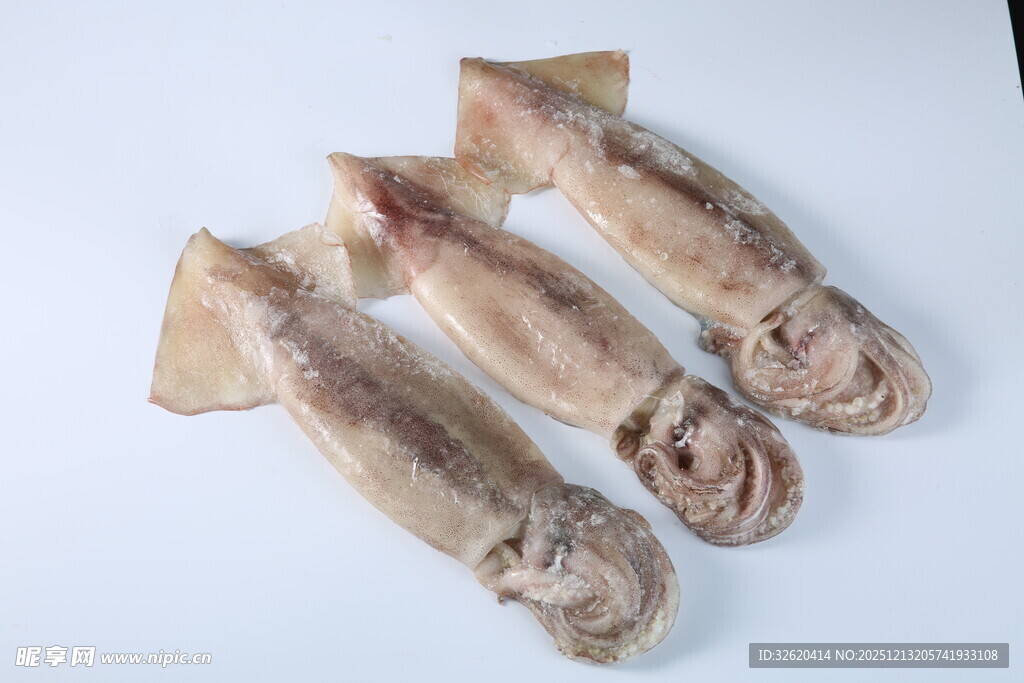 鲜鱿鱼