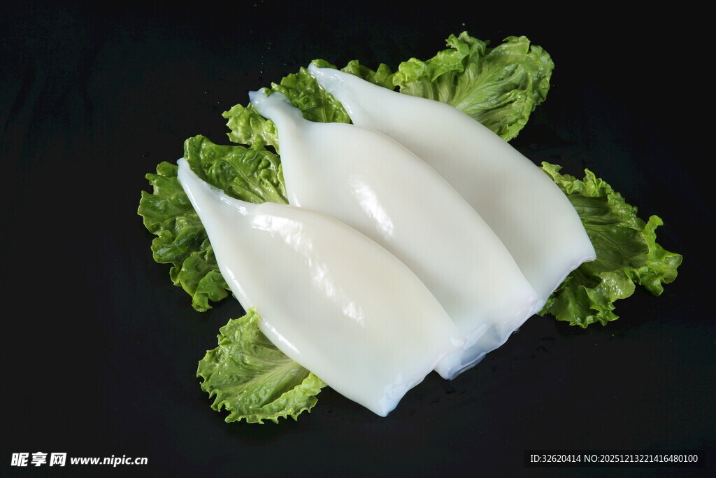 新鲜鱿鱼