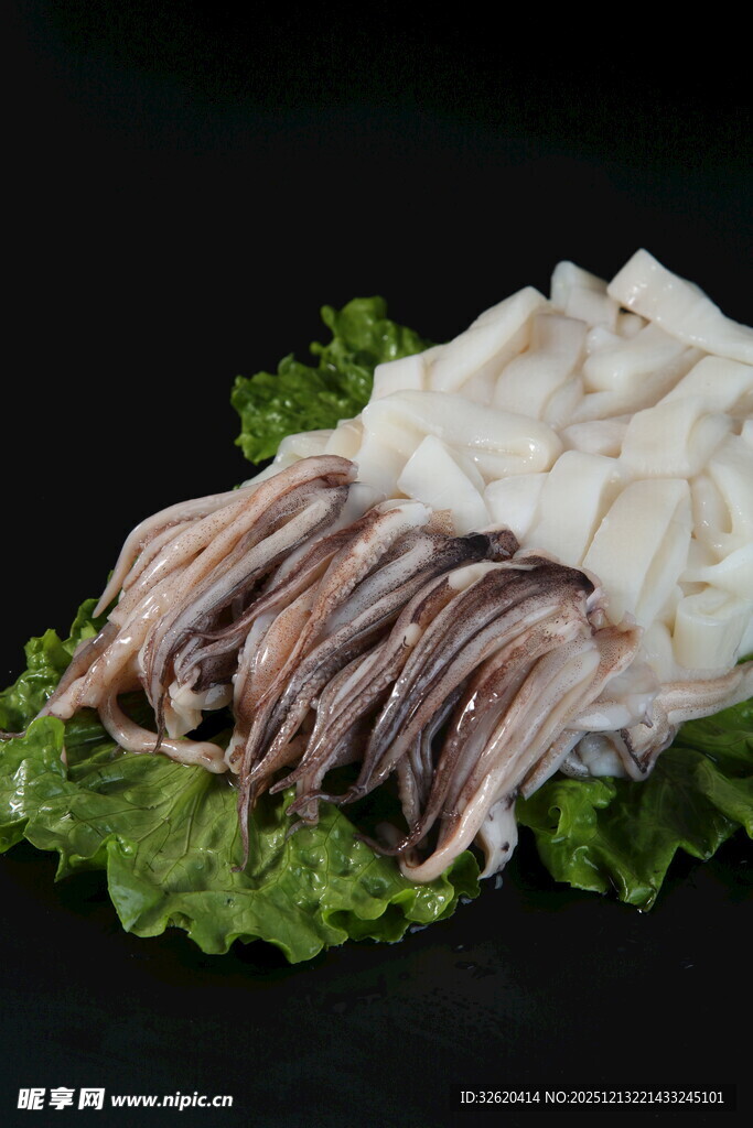 鲜鱿鱼