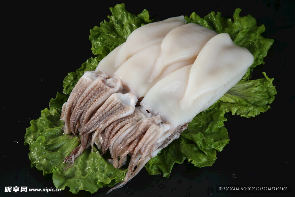 新鲜鱿鱼