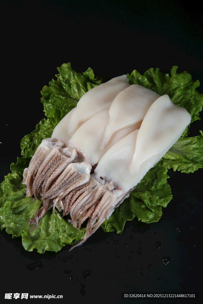 新鲜鱿鱼