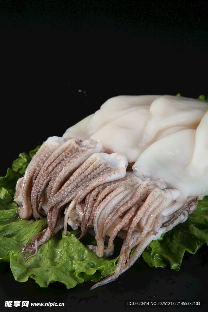 新鲜鱿鱼