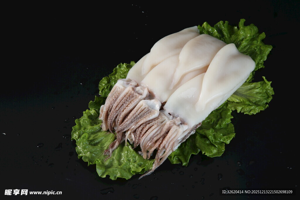 新鲜鱿鱼