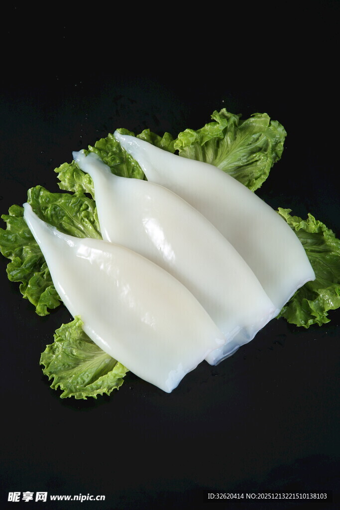 鱿鱼