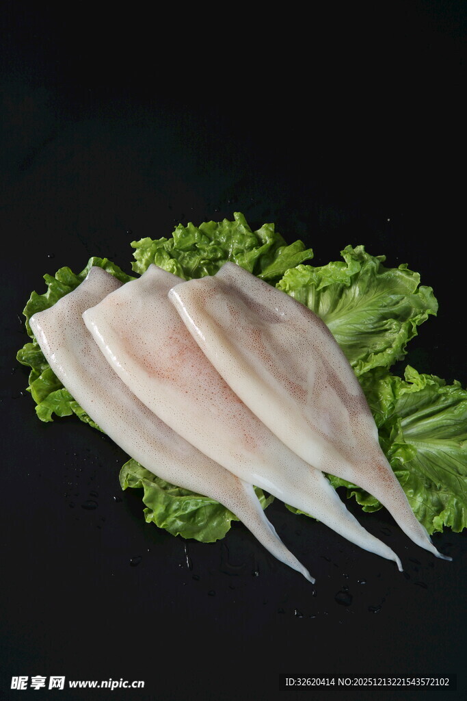 鲜鱿鱼