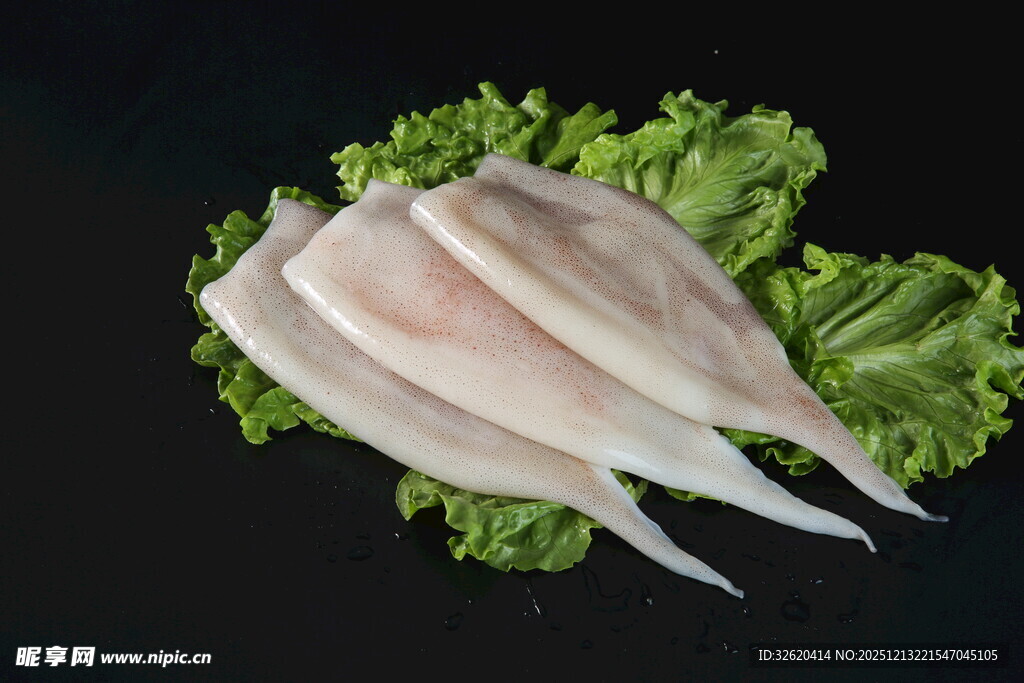 新鲜鱿鱼