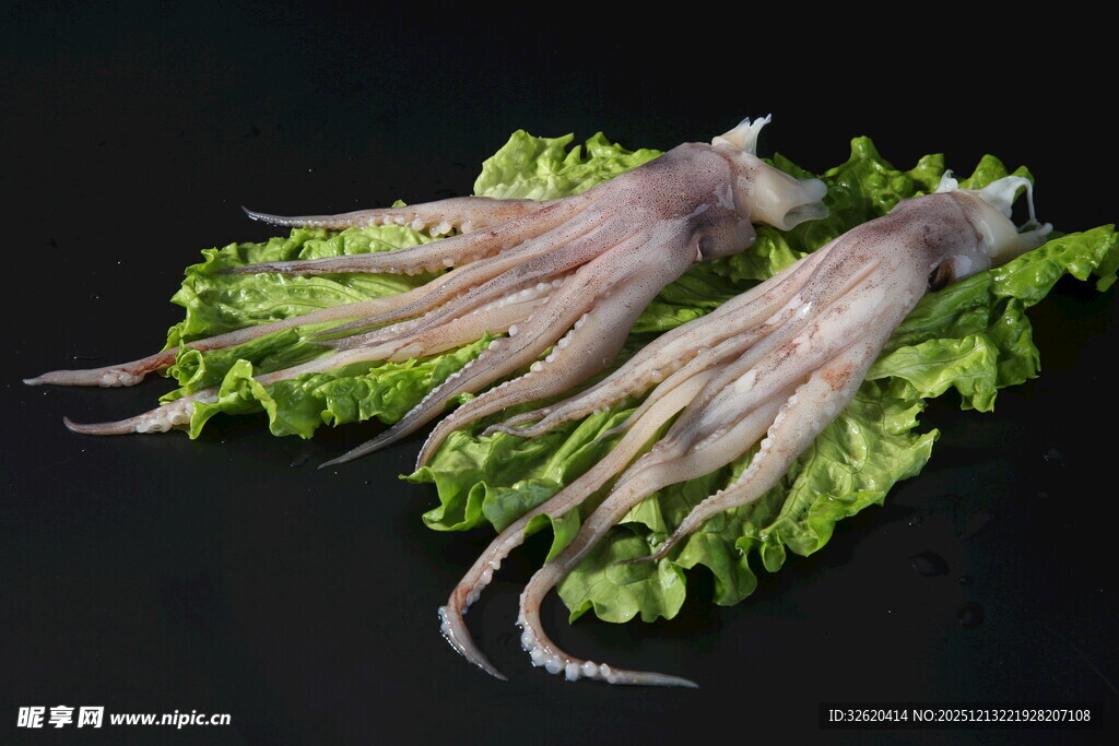 新鲜鱿鱼