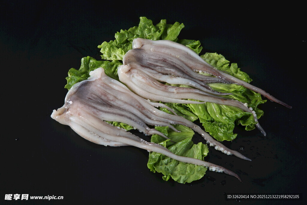 新鲜鱿鱼