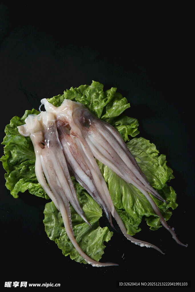 新鲜鱿鱼