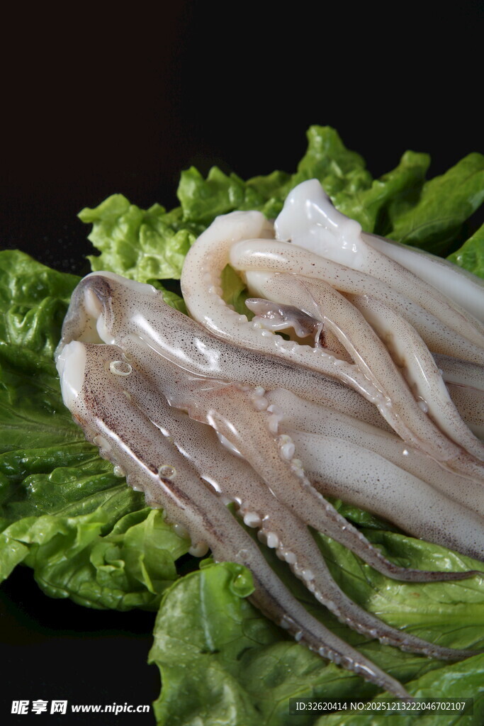 新鲜鱿鱼