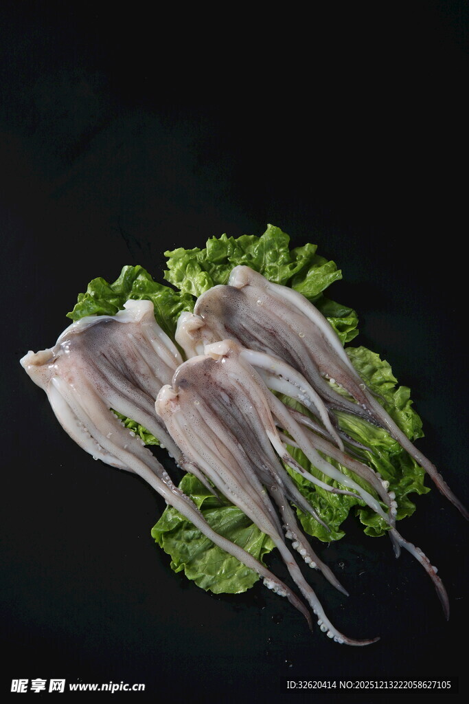 新鲜鱿鱼