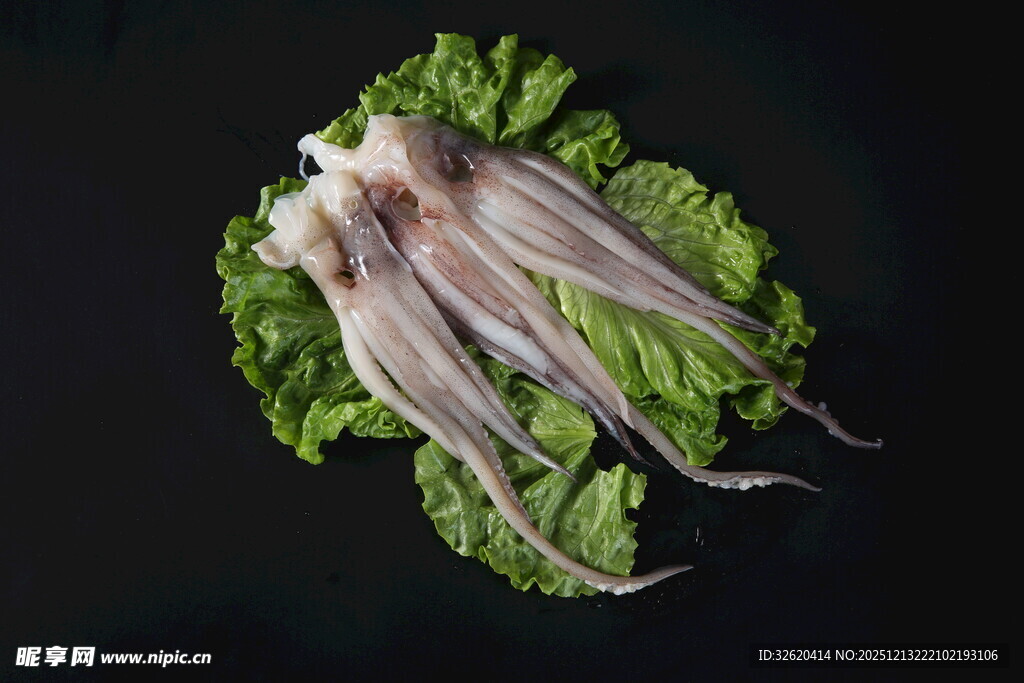 新鲜鱿鱼