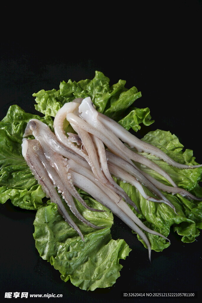 鲜鱿鱼须