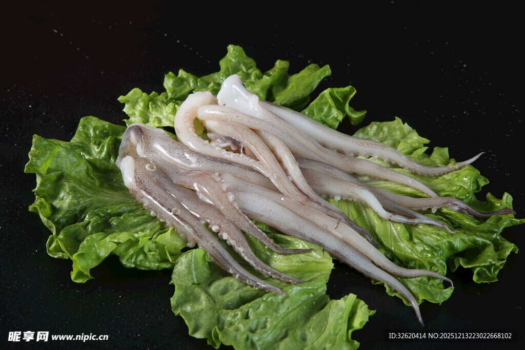 新鲜鱿鱼须
