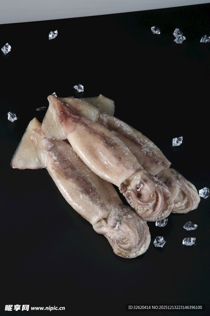新鲜鱿鱼