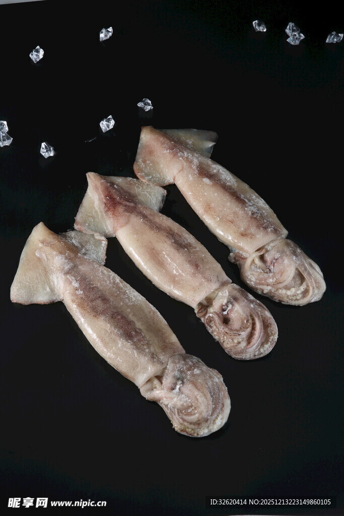 鲜鱿鱼