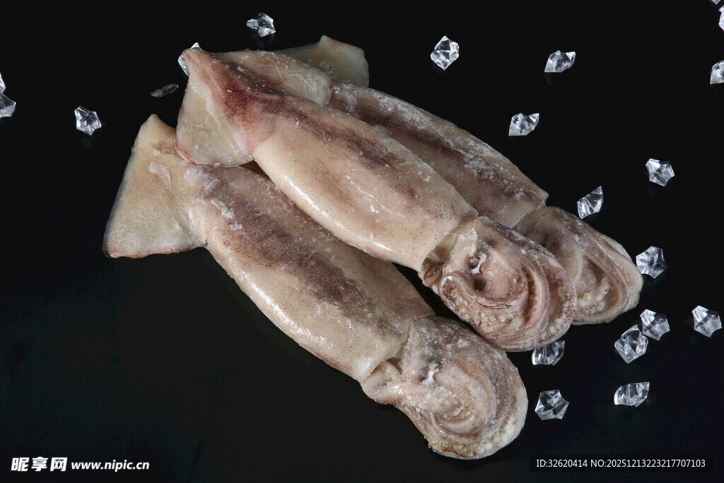 冰鲜鱿鱼