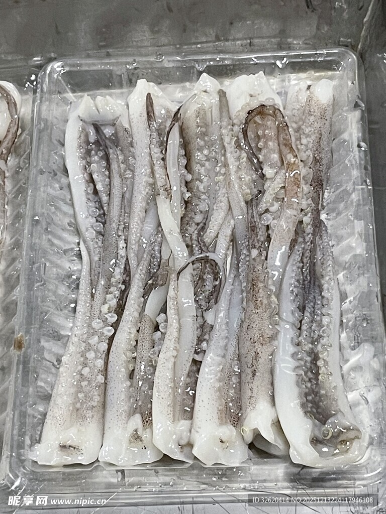 鱿鱼须