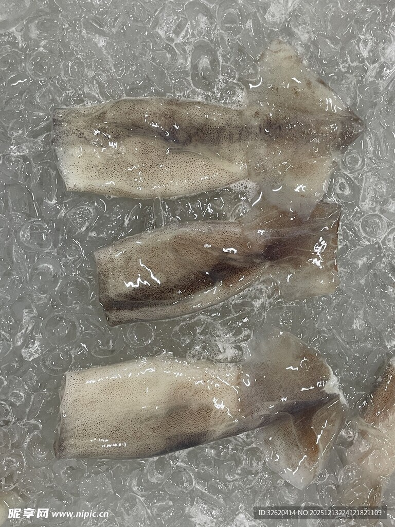 冰鲜鱿鱼