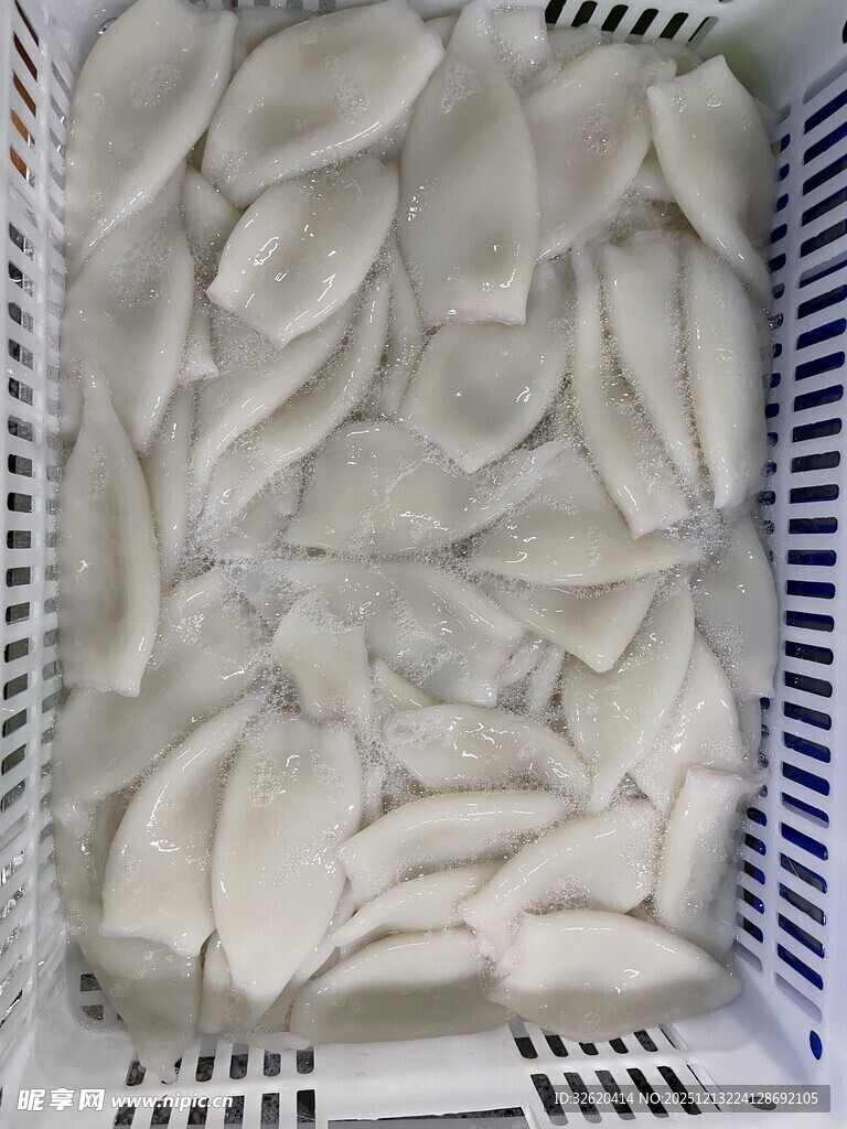 鱿鱼 