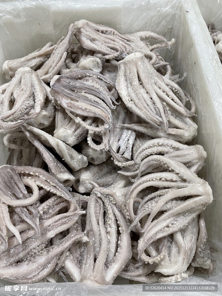 鱿鱼须