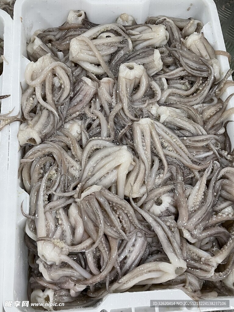 鱿鱼须