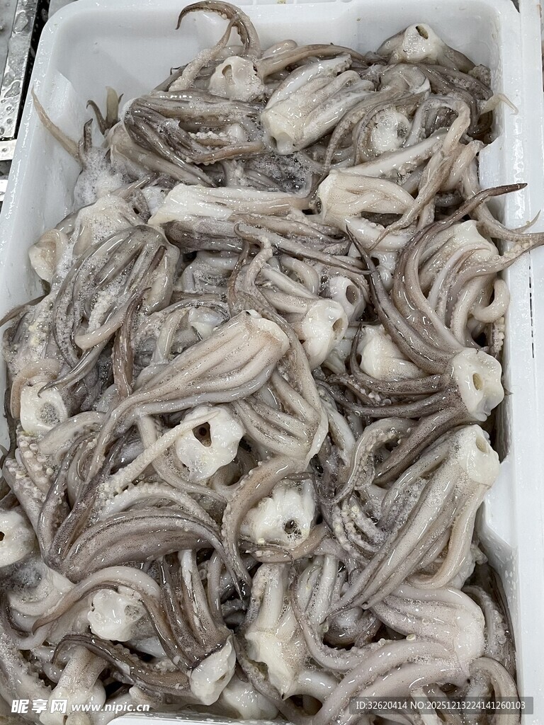 鲜鱿鱼须