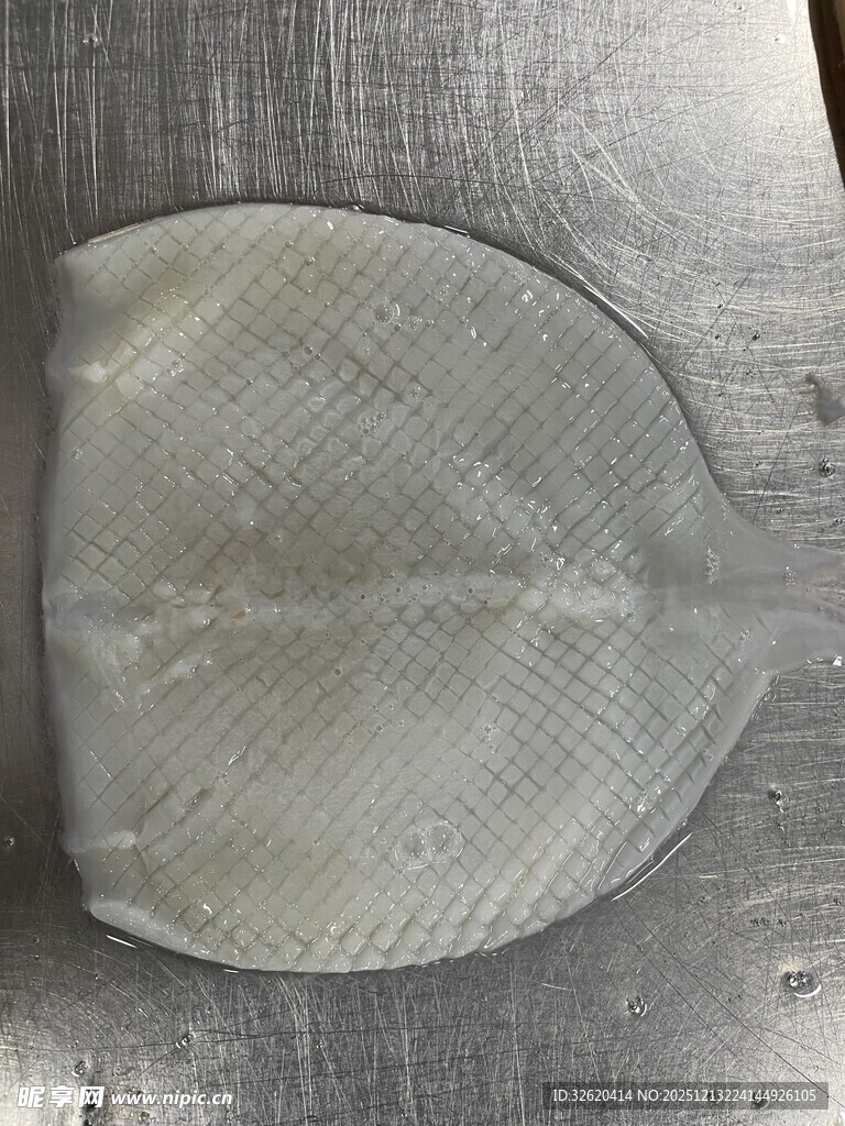 鱿鱼 