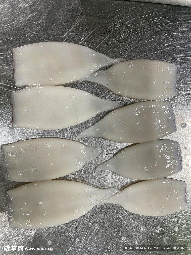 鱿鱼 