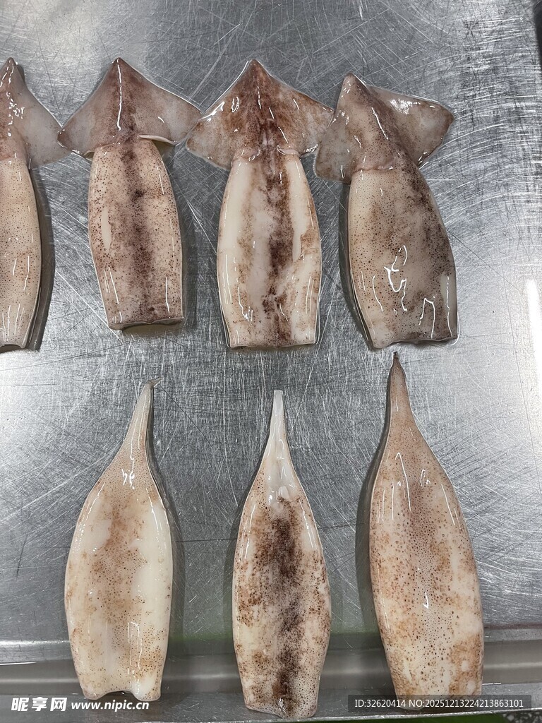 冷冻鱿鱼