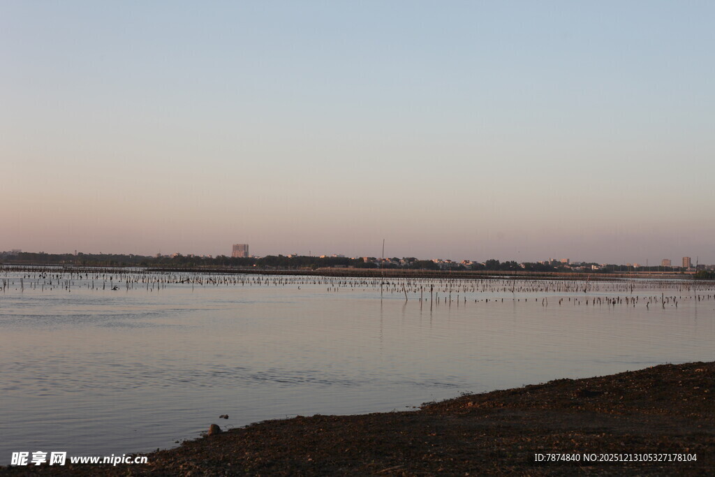 黄昏下的宁静河岸风光
