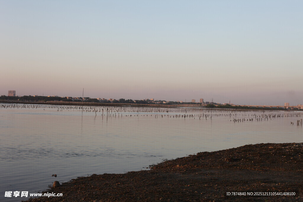 黄昏下的宁静湖边景色