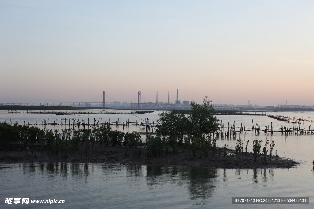 黄昏湿地景观图