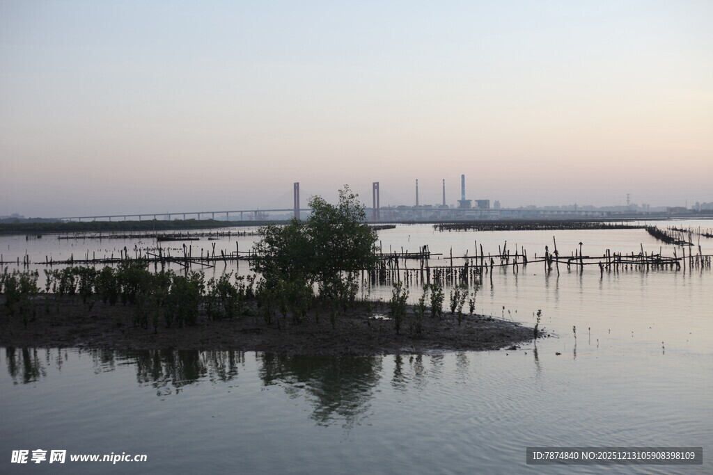 黄昏下的水上木桩景观