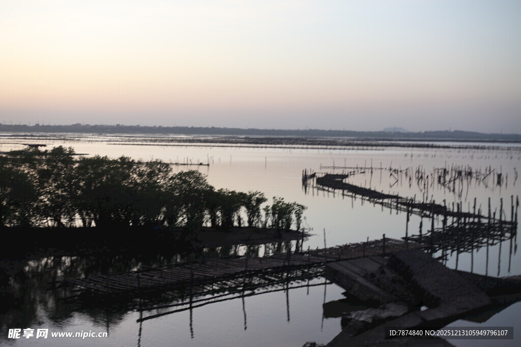 黄昏湖畔栈桥与繁茂草木
