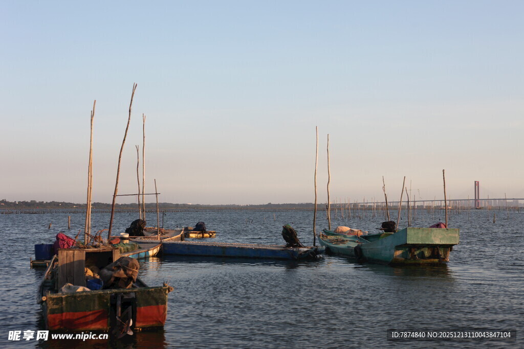 河畔停泊的多彩船只