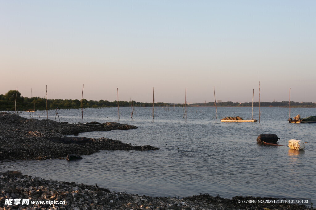 黄昏下的宁静水边景致