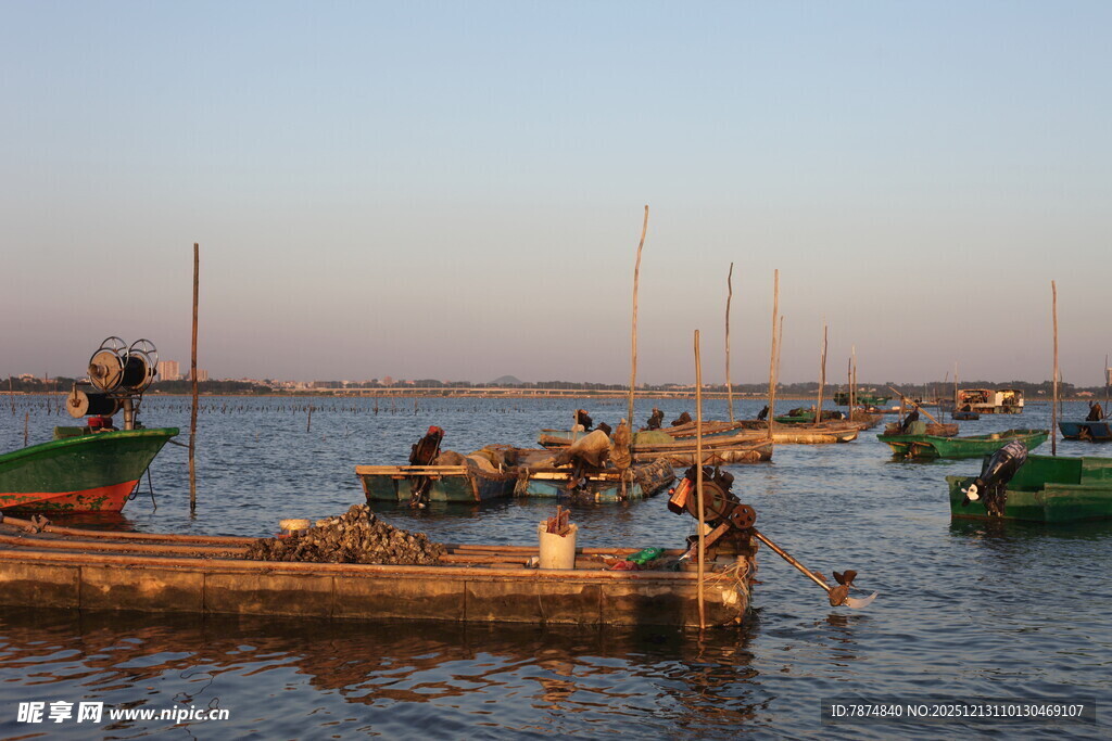 黄昏海港渔船停泊景象