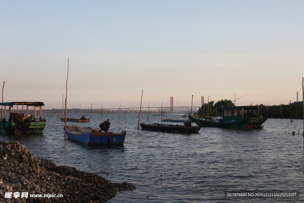 黄昏海港停泊的多艘船只