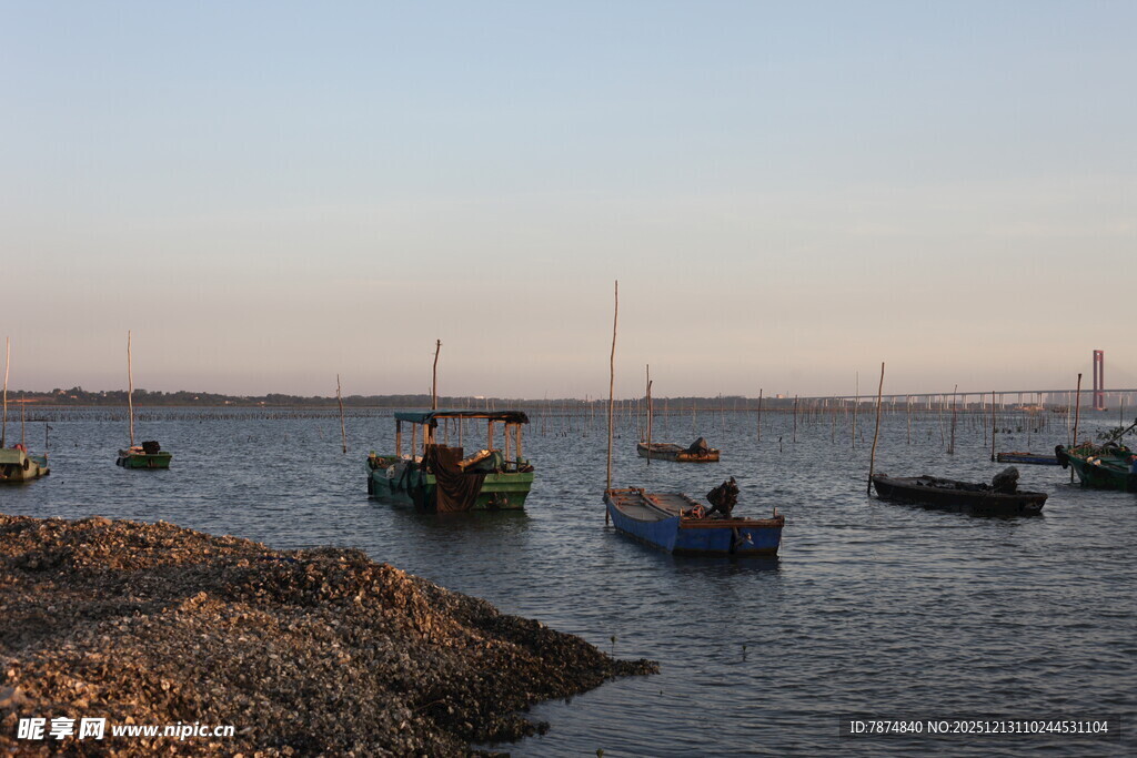 海边停泊的多彩船只