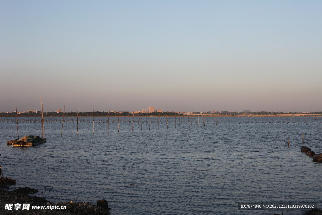 宁静湖面的黄昏景致