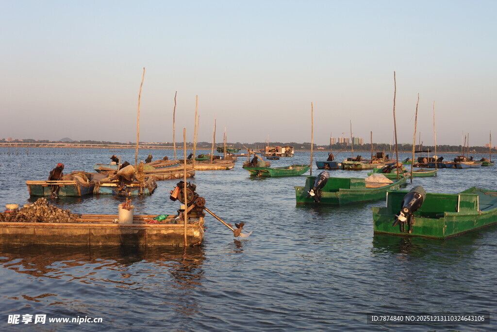 水上码头船只与戏水场景